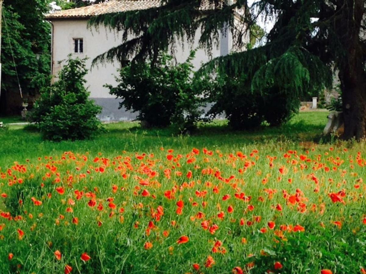 Appartamenti Lais In Sipicciano Exterior foto